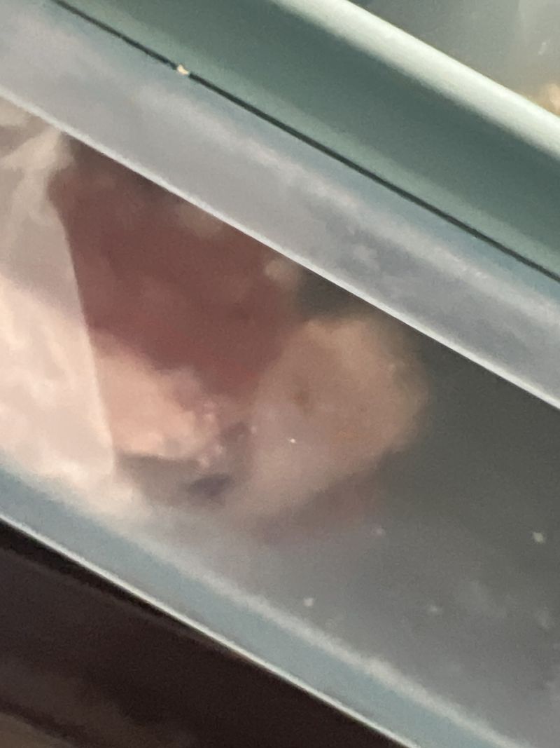 구매 후기 사진